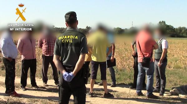 Spania. Un român a exploatat și înșelat mai mulți muncitori pe care i-a recrutat pentru usturoi