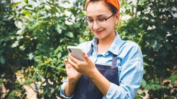 Italia. Aplicaţia prin care muncitorii sezonieri români îşi pot găsi de muncă a fost lansată