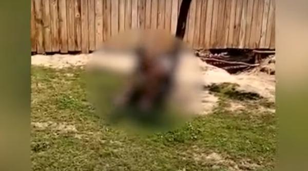 Tânăr, legat de un copac din curtea locuinţei. Tatăl vitreg a fost reţinut