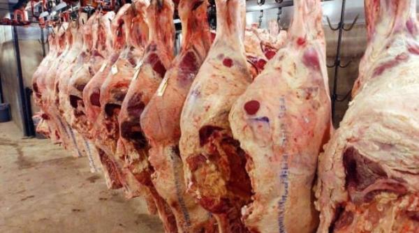 Italia. Şofer român, atentat la sănătatea publică. Transporta peste 7 tone de carne alterată