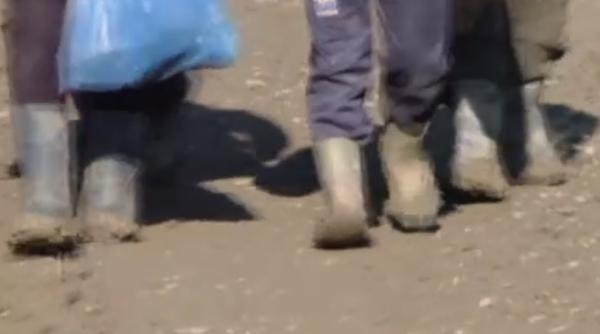 Un copil român de 16 ani, ținut în sclavie și torturat de fiul unui primar: „I-a tăiat un deget şi l-a dat câinilor”