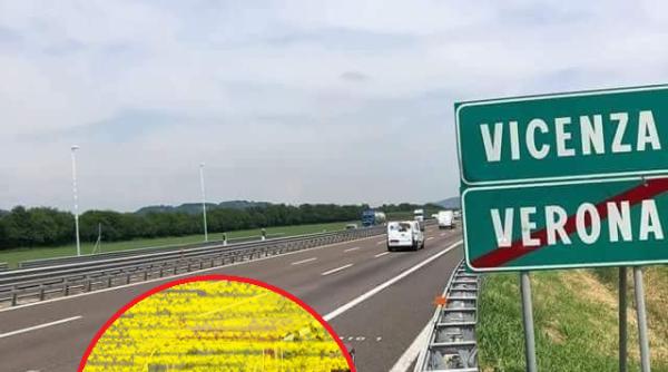 Imagini virale în Italia: Nu le-a venit să creadă ce au văzut pe șosea, la ieșire din Verona. E CELEBRĂ în ROMÂNIA  