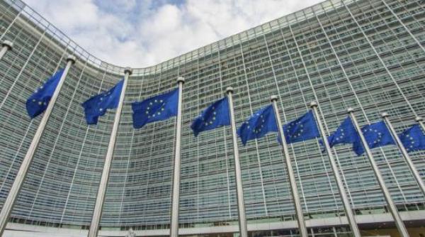 Fitch evaluează șansele Bulgariei să adere la euro înaintea României