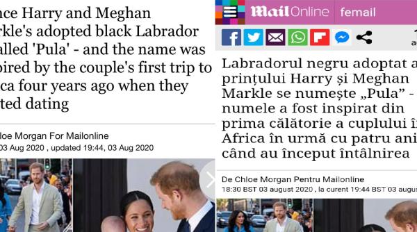 Prințul Harry și Meghan Markle au adoptat un câine. Ce nume i-au ales și de unde a venit inspirația