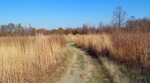 „Un peisaj al ABANDONULUI, murdăriei și NEPĂSĂRII“: Fost ambasador al României, șocat de cum arată intrarea în țară