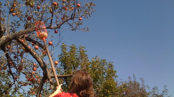 Patronii elveţieni: "Angajăm ROMÂNI de 20 de ani. Acum situaţia s-a schimbat!"