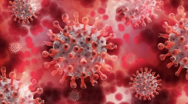 Societatea pentru Boli Infecţioase, despre o mutaţie a virusului: Îl face mai infecţios, dar mai puţin mortal