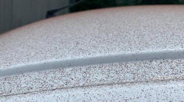 Elveţia: A "nins" cu cacao într-un orăşel, spre surprinderea localnicilor