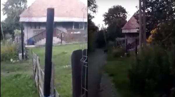 Tânără mamă româncă, ruptă cu bătaia: „N-o omorâți, că-i rămân doi prunci!”  (VIDEO)