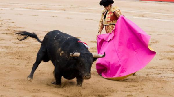 În plină pandemie, Comunitatea Madrid autorizează o coridă cu 5.500 de persoane pe care o anulează la scurt timp după