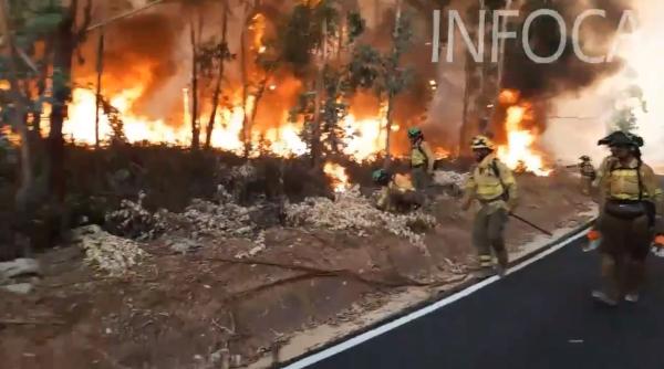 Oficial de la MAE despre existența ROMÂNILOR în regiunea INCENDIILOR masive din HUELVA: Peste 3.000 de persoane EVACUATE