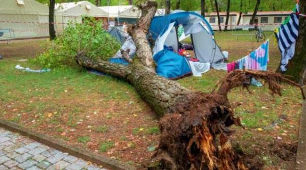 Italia. Anchetă în cazul morţii celor două surori de 3 și 14 ani, ucise de un copac prăbușit 