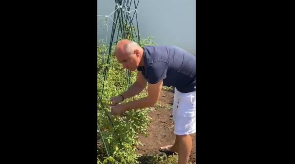 Rareş Bogdan, cum nu l-ai văzut VREODATĂ. Imagini VIDEO cu europarlamentarul la CULES legume