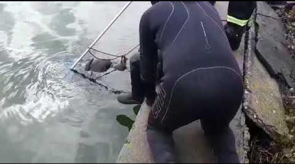 Român înecat într-un lac din Constanța. Trupul neînsuflețit, zărit de o turistă