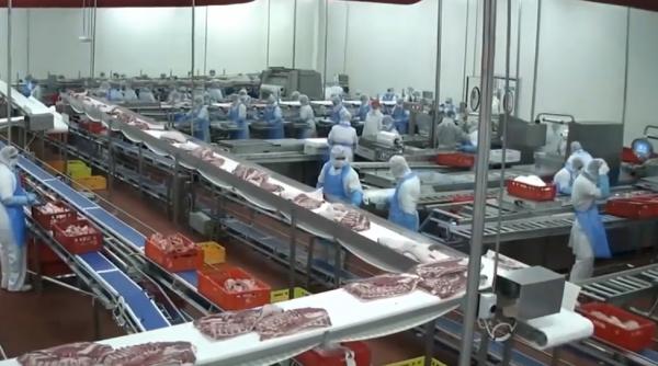 Germania: Raiduri în abatoare. Se caută muncitori ilegali aduşi din Estul Europei pentru industria cărnii