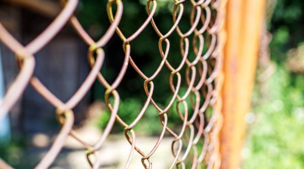 Germania va ridica un gard la graniţa cu Polonia pentru a se proteja de pesta porcină africană