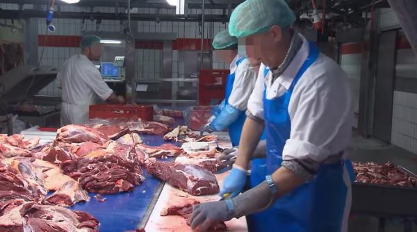 Germania. „Români” şi „studenţi”, aduşi ilegal. O nouă schemă în abatoare (VIDEO)