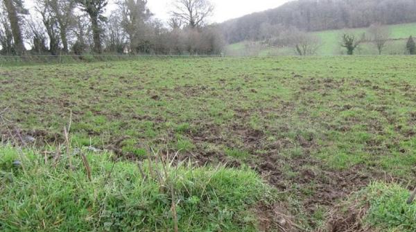 Franța. Cadavru în descompunere, găsit în apropierea mașinii unui român, dat dispărut de 3 săptămâni