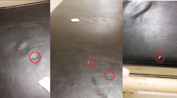 Targă plină cu VIERMI, la Urgențe, într-un spital din România: IMAGINI CU IMPACT EMOȚIONAL