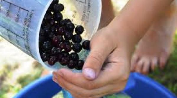 Exemple de succes pentru românii care vor să se întoarcă în țară și să lucreze pe bani mulți