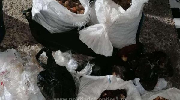 Comoară, descoperită de poliţişti, la frontiera României. Valorează peste 3 milioane de lei