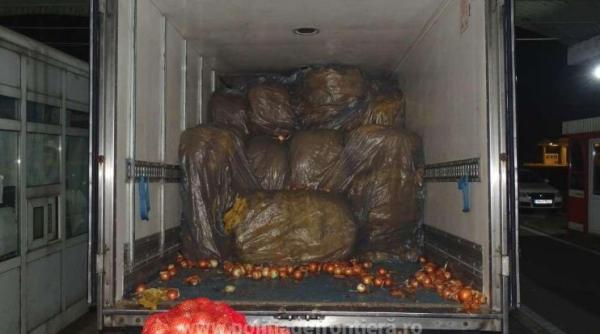 Şofer român de camion, oprit la vamă. Aproape 2 tone de tutun vrac, ascuns între saci cu ceapă  