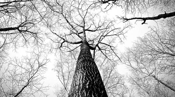 Un român s-a întors din Italia să practice bărcuitul - una dintre meseriile din vremea dacilor, dispărută