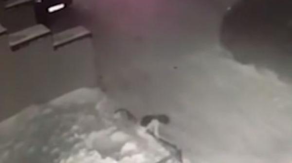 O fetiță de 6 ani a scăpat cu viață, după ce a căzut de la etajul patru al unui bloc