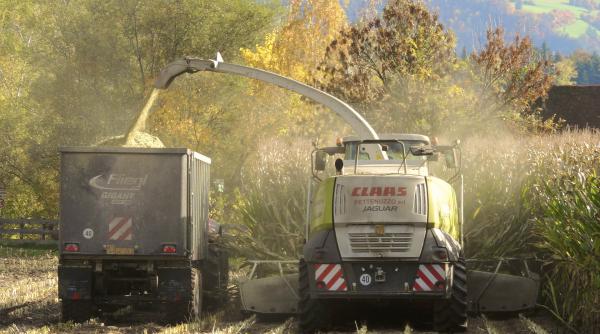 Românii se pot întoarce în țară pentru a crea cooperative