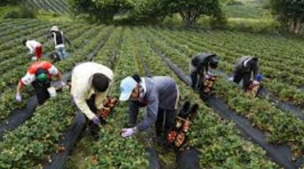 Spania. Un român şi soacra sa au fraudat statul cu peste 100.000 de euro. Procurorul îi vrea la închisoare