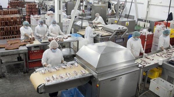 Germania. Schimbare majoră pe piața muncii: DISPAR subcontractorii şi angajaţii sezonieri din industria cărnii