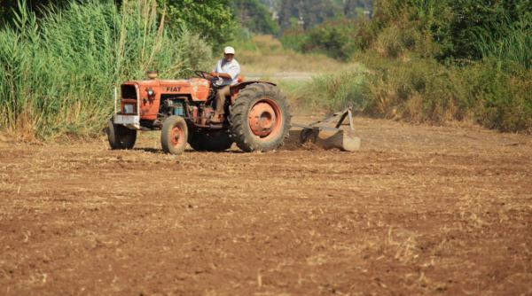 România – pe locul șapte la producția agricolă din UE