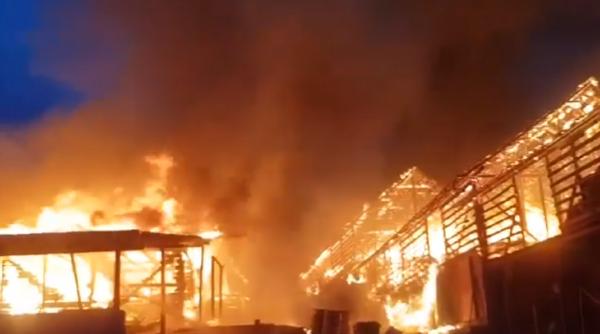 Incendiu nimicitor la o fermă a unor români. Zeci de animale, carbonizate
