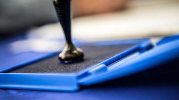 Prezență vot, ora 16.00: Doar 22,43% dintre alegători s-au prezentat la urne