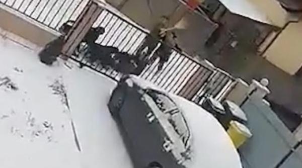 Româncă atacată și mutilată de patru câini rottweiler