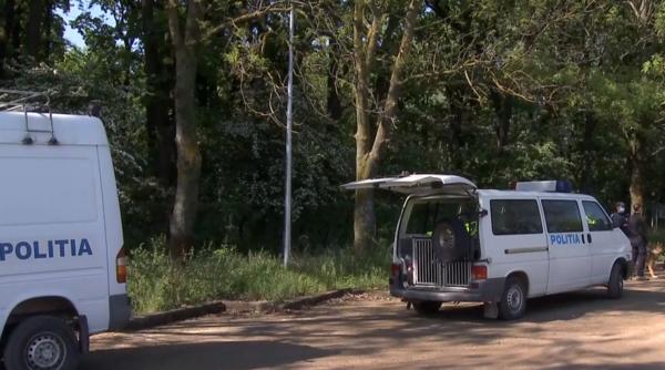 Pădurar, aproape omorât după ce a prins hoții la furat lemne în pădure