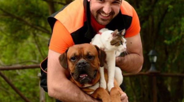 Câinii și petardele de Revelion 2021. Trucuri pentru ca animalele să nu se mai sperie