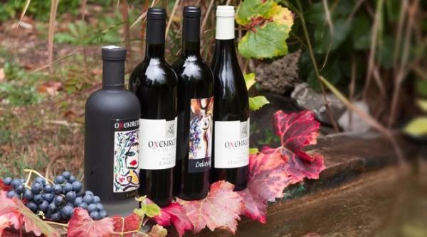 Ce se bea în noaptea de Revelion şi cu ce să combaţi rapid mahmureala de a doua zi