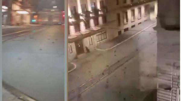 Imagini apocaliptice în Italia: Ploaie cu mii de păsări moarte din cauza focurilor de artificii