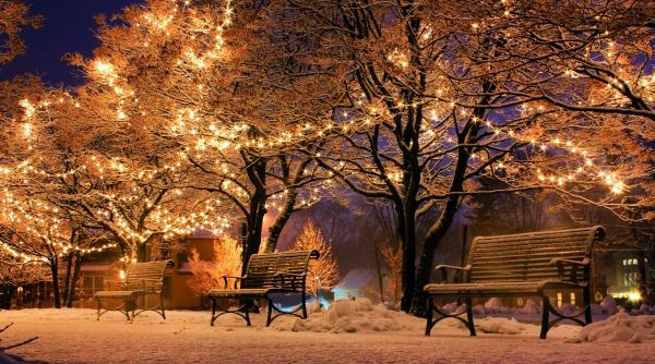 SEMNAL de ALARMĂ pentru ROMÂNI din UK. Cum a ajuns un pensionar cu 7 copii să doarmă pe bancă