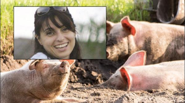 Italia. Maria a ajuns hrană pentru porci după ce a fost răpită și ucisă de un mafiot. După 5 ani, un membru al clanului face dezvăluiri