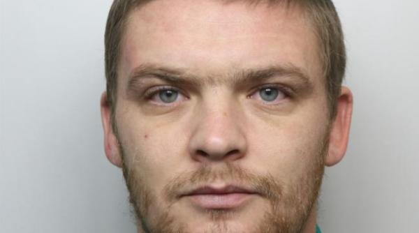 Român condamnat la închisoare în Anglia, după ce a fost prins păzind o cultură de cannabis. Polițiștii au fost impresionați de sinceritatea lui