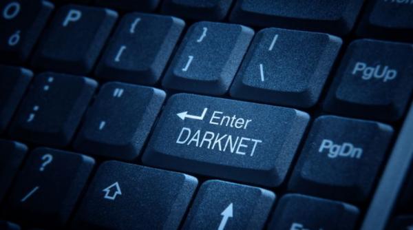 Cea mai mare platformă de vânzări de pe DarkNet, dezmembrată în Germania. Site-ul, găzduit pe servere aflate în vecinătatea României