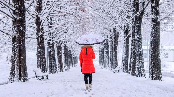 Ger peste România până în 20 ianuarie. Temperaturile scad până la -20 de grade Celsius