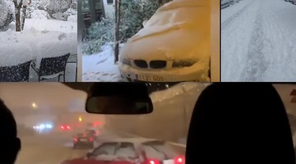 Spania. Peste 80.000 de copaci avariaţi de furtuna de zăpadă, defrişaţi în Madrid