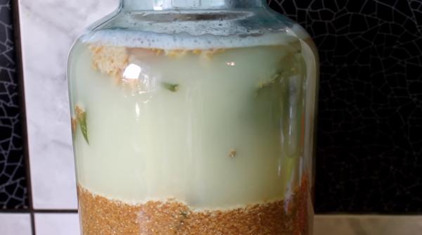 Cum se umple borșul de casă, de la 0: Rețeta tradițională cu huște și secretul de pe vremea strămoșilor