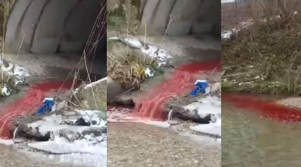 Un râu din Argeş, poluat cu sânge. Fenomenul a îngrozit populaţia din zonă