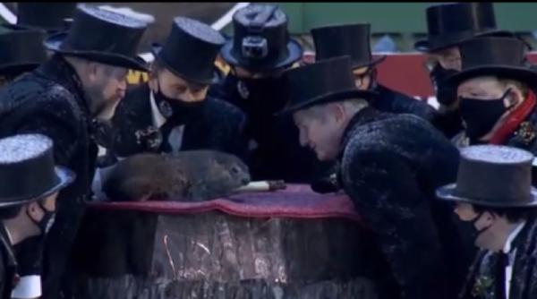 Celebra marmotă Phil a făcut o nouă predicție