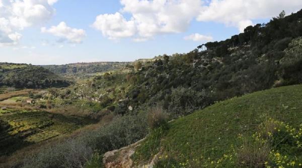 Italia. Româncă, salvată de carabinieri, după ce se rătăcise într-o zonă izolată, în miez de noapte. Alarma a fost dată de soțul ei