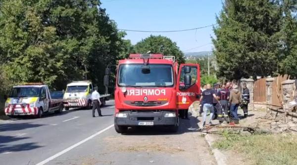 Fetiță de 6 ani, OMORÂTĂ pe loc. Abia coborâse din microbuz
